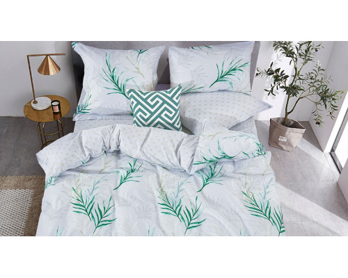 Постельное белье семейное Pure Cotton Веера