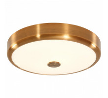 Накладной светильник Citilux Фостер-1 