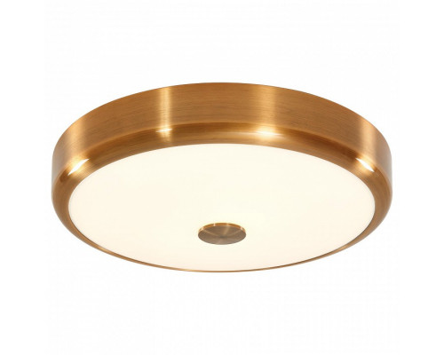 Накладной светильник Citilux Фостер-1