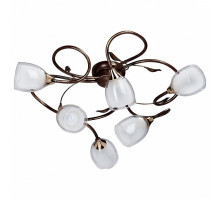 Потолочная люстра Vitaluce V3262 V3262/6PL