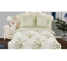 Постельное белье полутораспальное CL-277