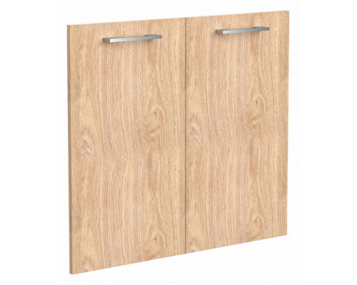 Двери распашные Torr Z THD 42-2