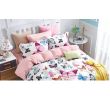 Постельное белье евростандарт CL-279