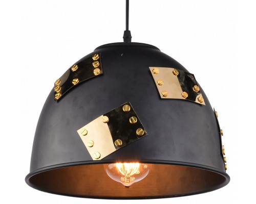 Подвесной светильник Arte Lamp Eurica A6023SP-1BK
