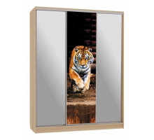 Шкаф-купе Бассо 9-600 87