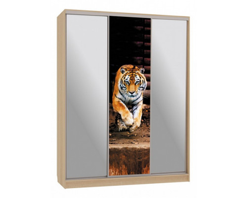 Шкаф-купе Бассо 9-600 87