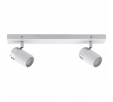 Спот Paulmann Zyli 66711