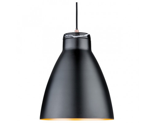 Подвесной светильник Paulmann Roald 79609