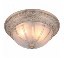 Накладной светильник Arte Lamp Piatti A8014PL-2WA