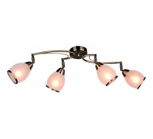 Спот Omnilux Autunois OML-35121-04