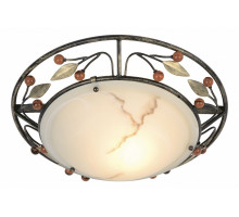 Накладной светильник Globo Savanna 44130-1