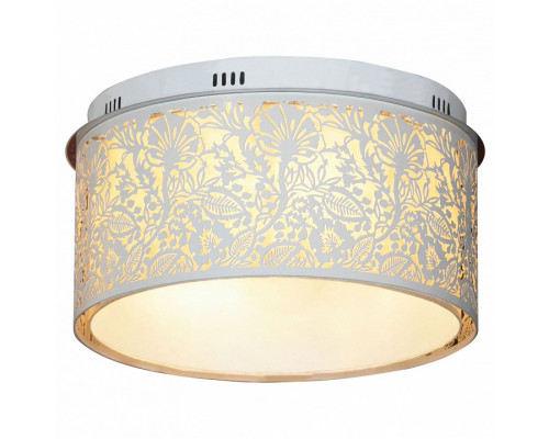 Накладной светильник Lussole Vetere