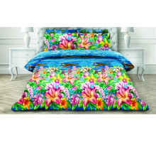 Постельное белье евростандарт AP-53