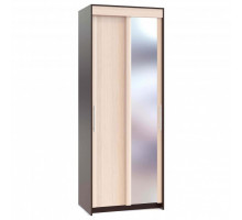 Шкаф-купе ШР-96.1