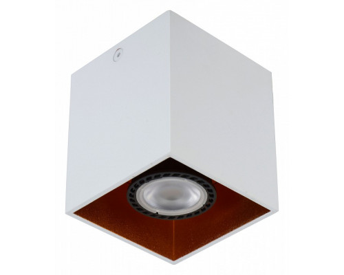 Накладной светильник Lucide Bodibis 22966/01/31