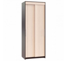 Шкаф-купе ШР-96.2