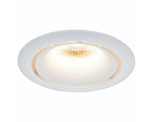 Встраиваемый светильник Maytoni Zoom DL031-2-L12W