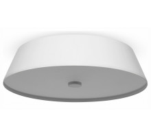 Накладной светильник Freya LED FR10013CL-L24W