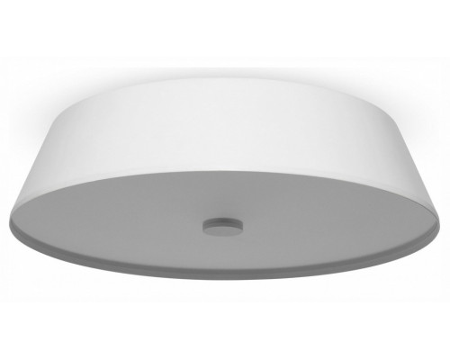 Накладной светильник Freya LED FR10013CL-L24W