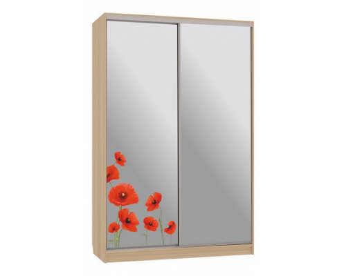 Шкаф-купе Рио 4-600 маки