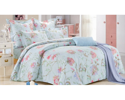 Постельное белье двуспальное C-220