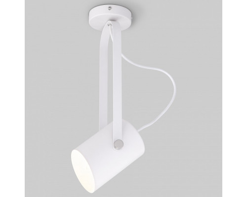 Светильник на штанге Eurosvet Italio 20092/1