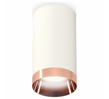 Накладной светильник Ambrella Techno Spot 246 XS6322025