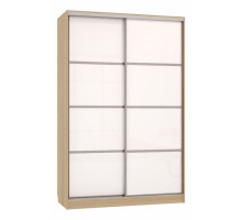 Шкаф-купе Рио 2