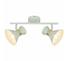Спот Arte Lamp Baltimore A1406AP-2WG