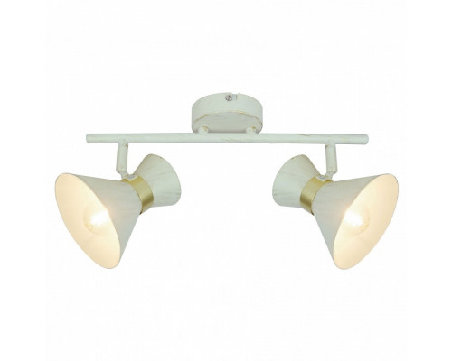 Спот Arte Lamp Baltimore A1406AP-2WG