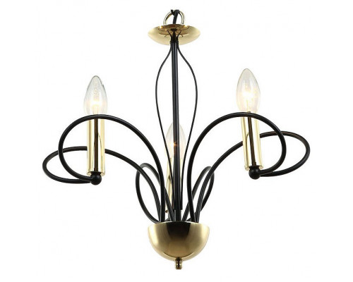 Подвесная люстра Lussole Powell