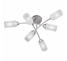 Потолочная люстра Vitaluce 4188 V4188-9/6PL