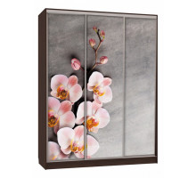 Шкаф-купе Бассо 7-600 78