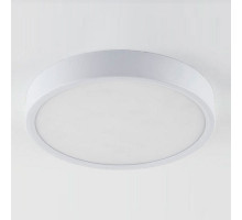 Накладной светильник Elektrostandard DLR034 a043015