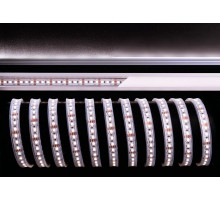 Лента светодиодная [5 м] Deko-Light  840143