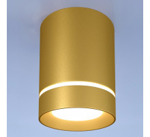 Накладной светильник Elektrostandard DLR021 a049492