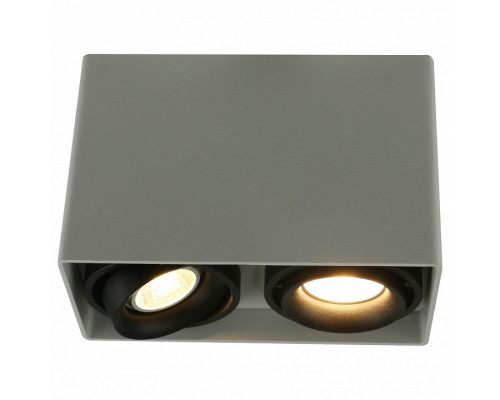 Накладной светильник Arte Lamp 5655 A5655PL-2WH