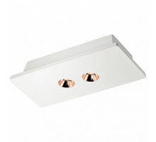 Накладной светильник Loft it Architect OL1072-WG/2