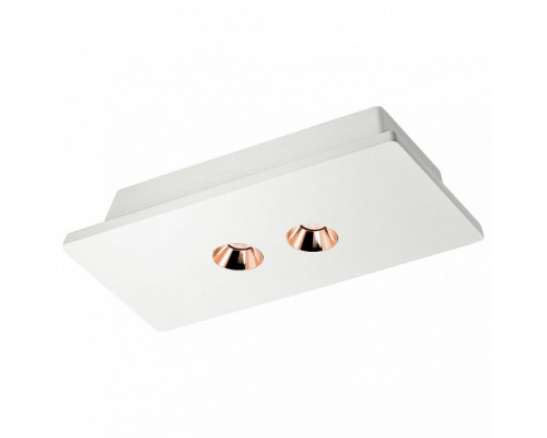 Накладной светильник Loft it Architect OL1072-WG/2