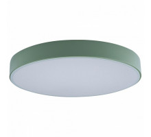Накладной светильник Loft it Axel 1 10002/24 Green