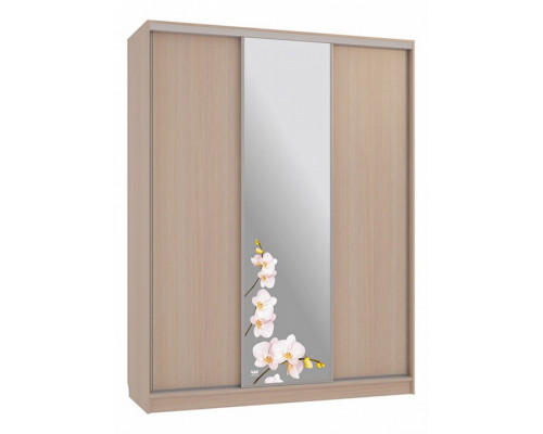 Шкаф-купе Бассо 1-600 орхидеи