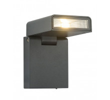 Светильник на штанге Globo Sparrow 34310