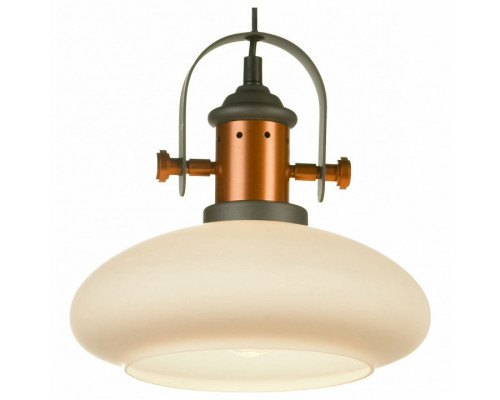 Подвесной светильник Lussole Binghamton LSP-9845