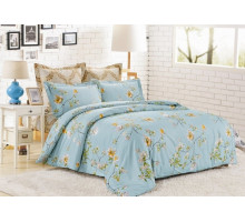 Постельное белье евростандарт C-191