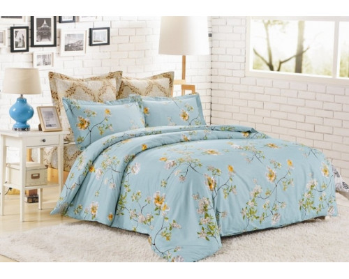 Постельное белье евростандарт C-191