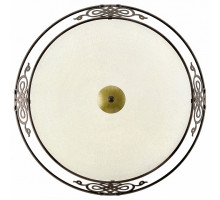 Накладной светильник Eglo ПРОМО Mestre 86713