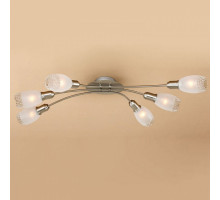 Потолочная люстра Citilux Мери 