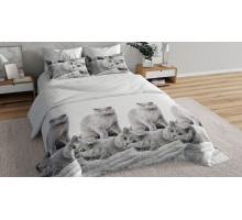 Постельное белье полутораспальное Серые британцы