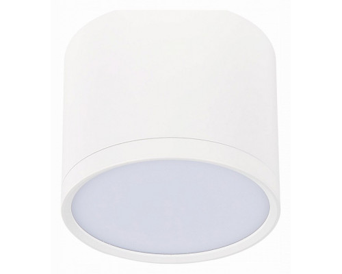 Накладной светильник ST-Luce Rene