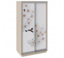 Шкаф-купе Румер